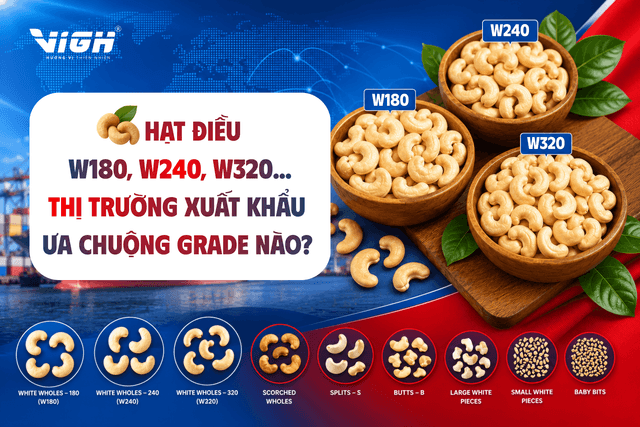 Hạt điều W180, W240 hay W320? Hướng dẫn lựa chọn theo nhu cầu xuất khẩu
