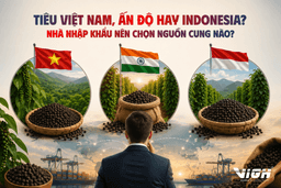 Tiêu Việt Nam, Ấn Độ hay Indonesia? Đâu là lựa chọn phù hợp cho nhà nhập khẩu