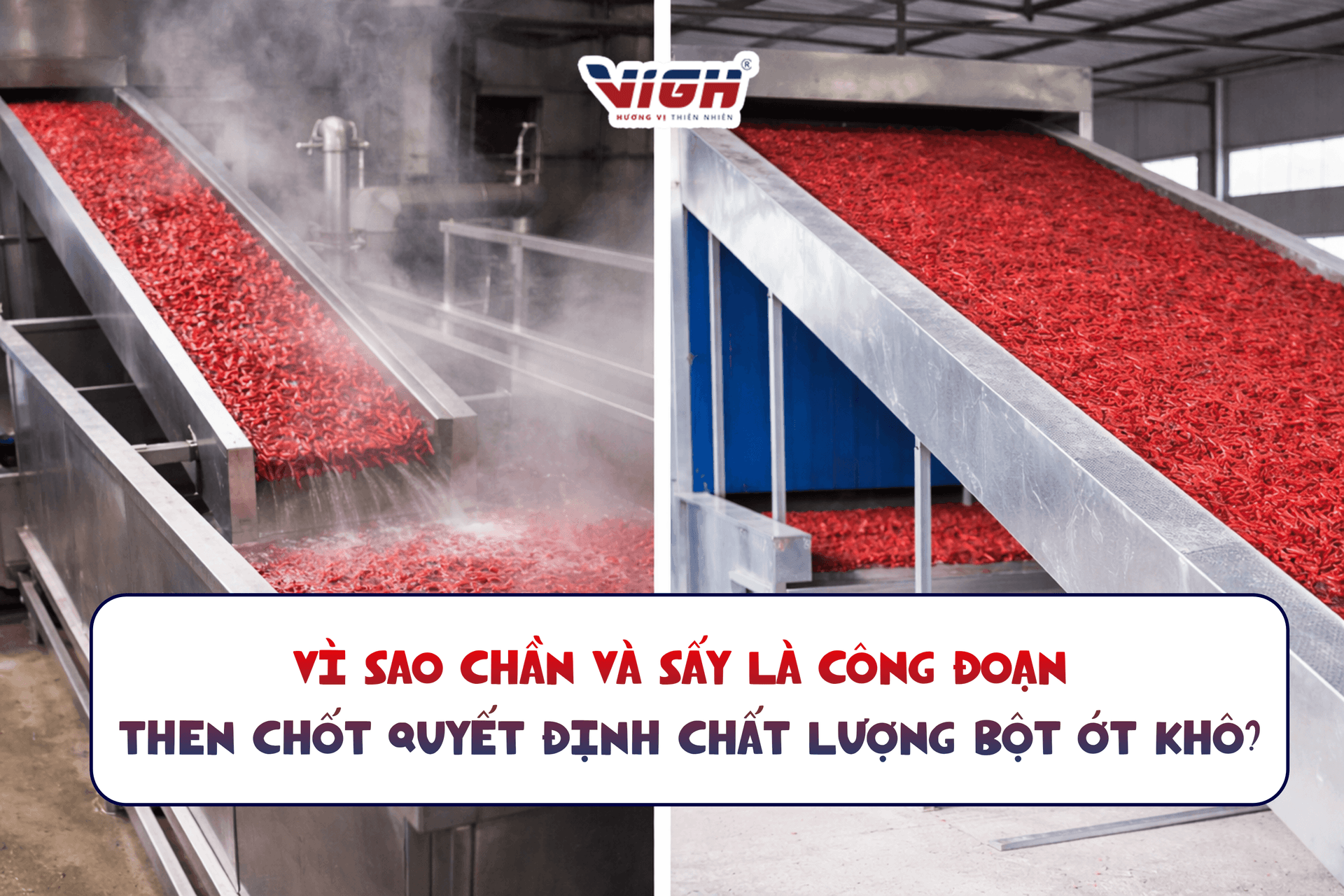 Vì sao chần và sấy là công đoạn then chốt quyết định chất lượng bột ớt khô?