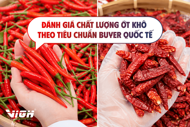 Buyer quốc tế đánh giá chất lượng ớt khô dựa trên những tiêu chí nào?