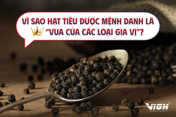 Vì sao hạt tiêu được mệnh danh là “vua của các loại gia vị”? Vai trò của tiêu trong nền ẩm thực Việt Nam