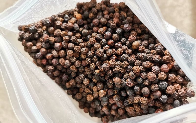 Khám phá quy trình sản xuất tiêu đen đảm bảo chất lượng